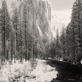 California - Yosemite