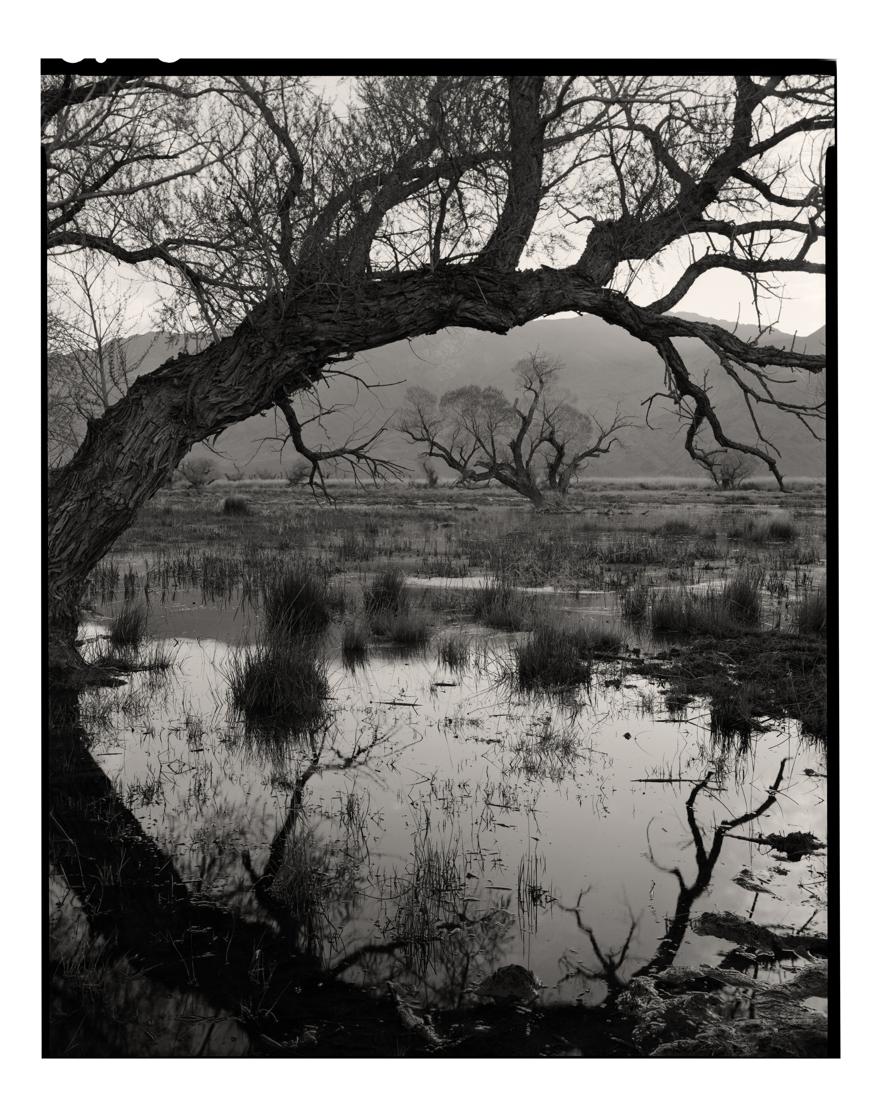 Sunrise, Owens Valley