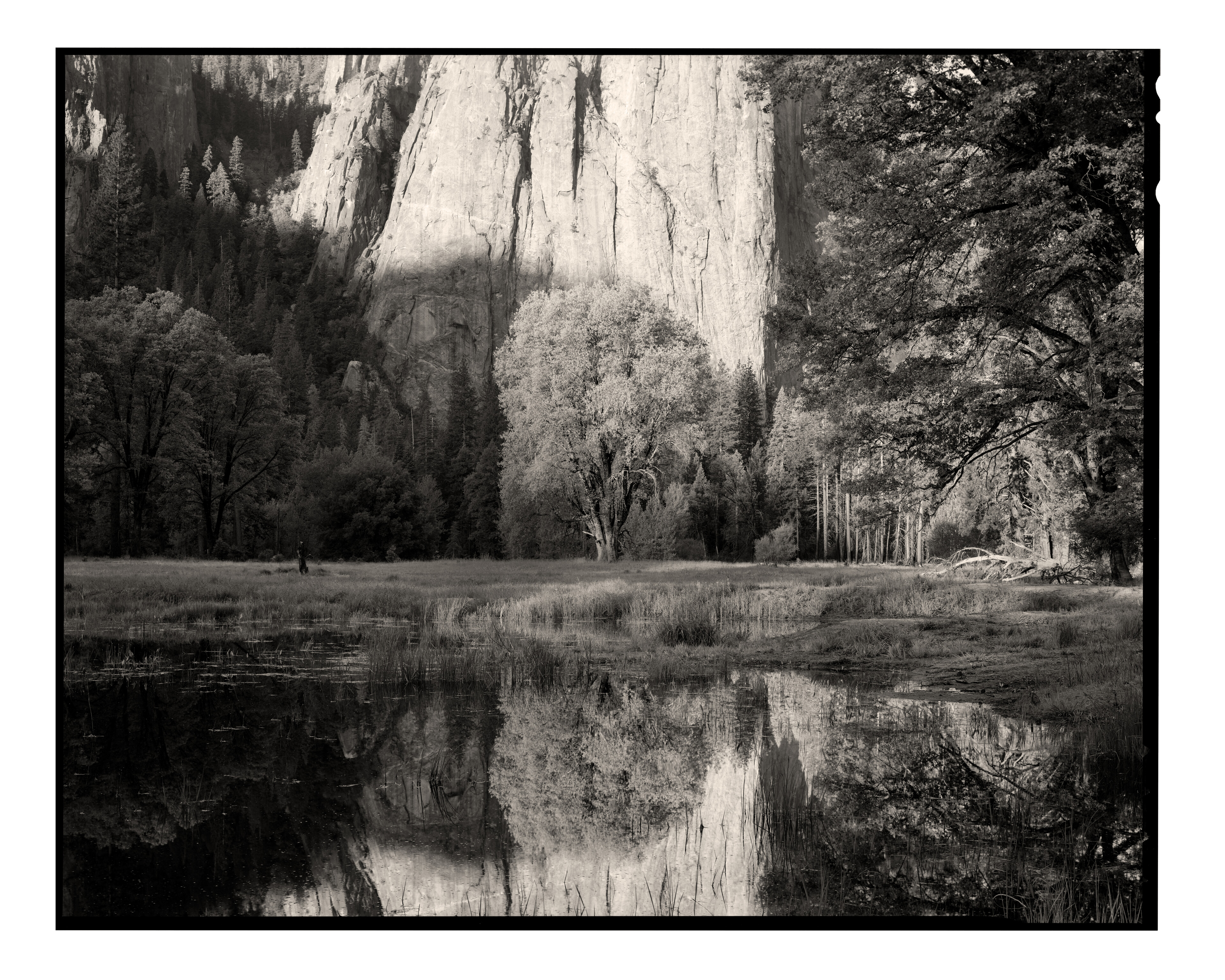 Yosemite Sunrise III