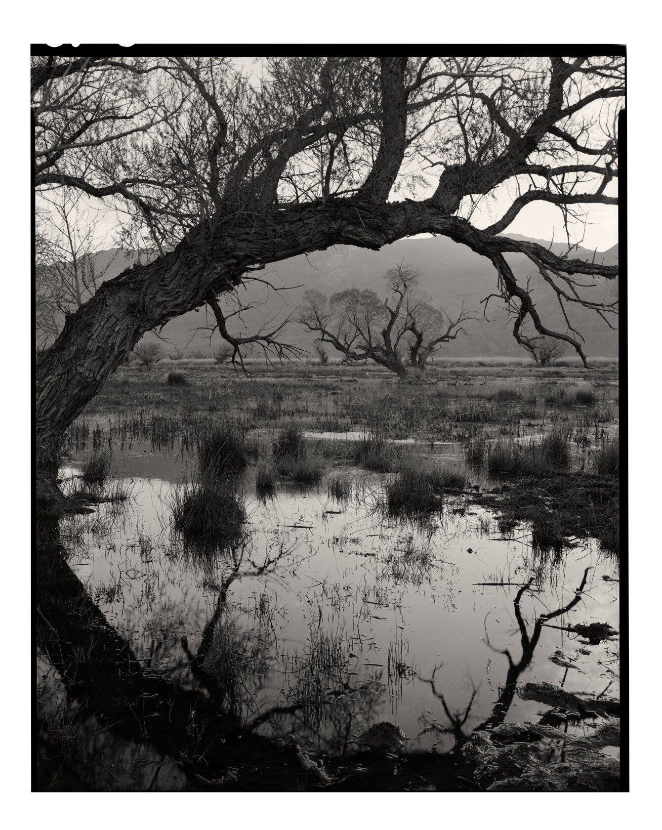 Sunrise, Owens Valley